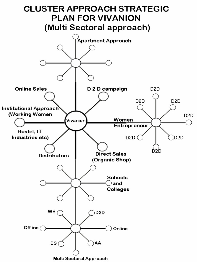 Vivanion Multi-Sectoral Strategic Plan | PDF