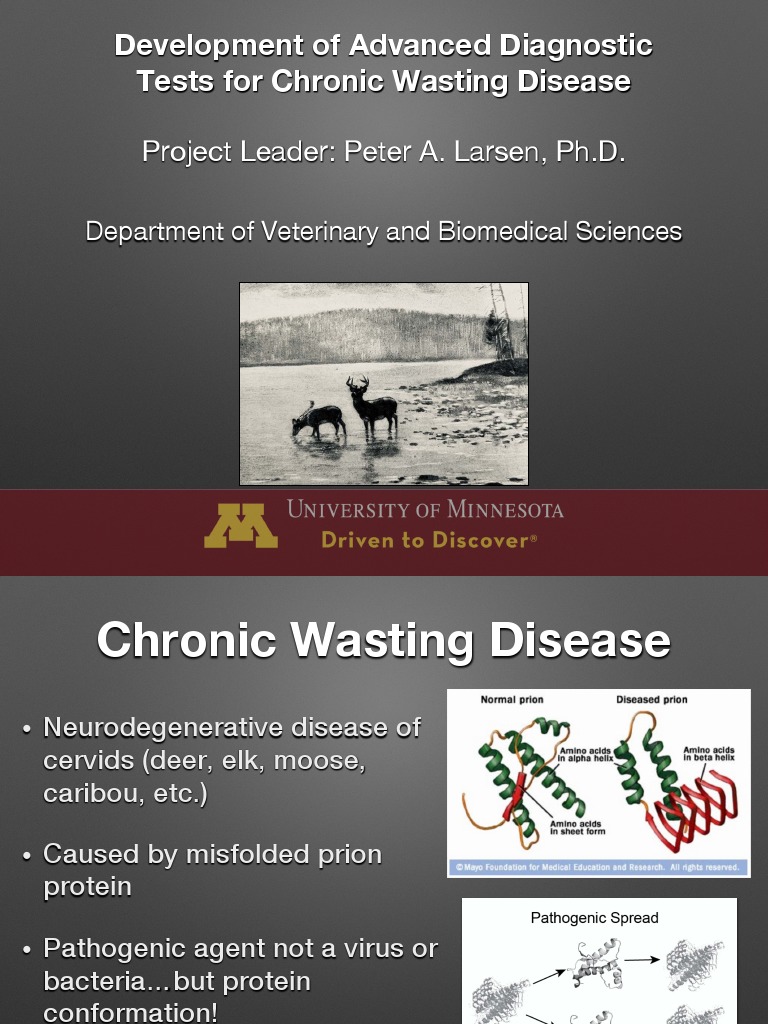 Advanced CWD Diagnostic Test Development | PDF | Epidemiology ...