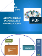 Ps Organizacional