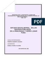 sociolaboral-rinconada-cerro-lunar.pdf