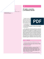 El tejido conectivo y el sistema fascial.pdf