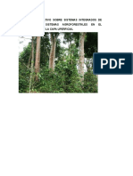 Estudio Comparativo Sobre Sistemas Integrados de Produccion y Sistemas Agroforestales en El La Cantera Municipal de Nueva Cajamarca