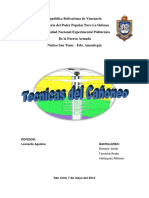 Tecnicas-de-Canoneo-de-pozos-exposicion.pdf