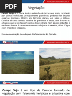 Aula 03 - Relevo e Vegetação