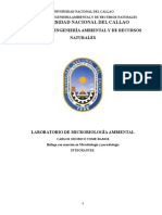 Micro Ambiental Informe APC