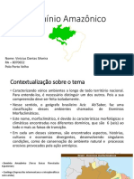 Climatologia, Geografia Do Brasil, Agrária e Meio Ambiente - Portfólio 3º Ciclo