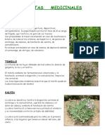 Ep. Plantas Medicinales