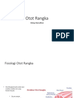 Otot Rangka