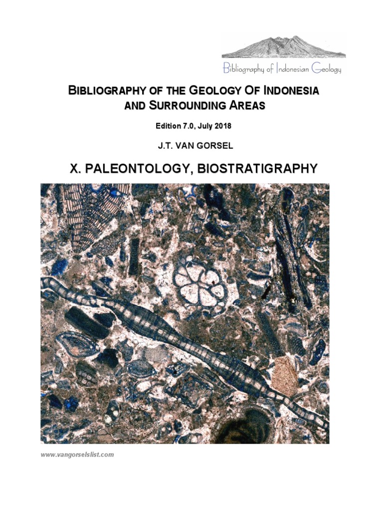 Big X Paleontology 7 Pdf Geology Earth Sciences