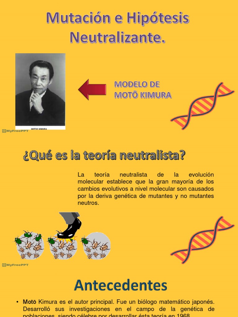 Teoria neutralista