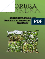 Morera PDF