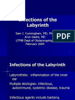 Labyrinth It Is Slides 040225