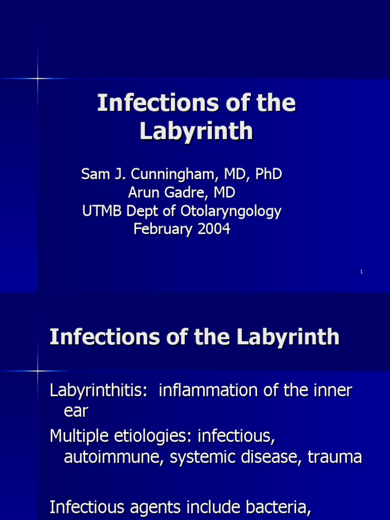 Labyrinthitis: Causes and Treatments | PDF | Infection | Meningitis
