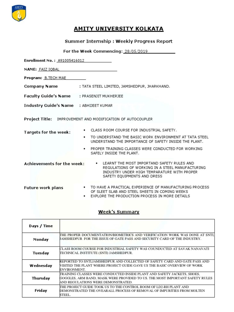 SNTI Jamshedpur Internship Progress Report | PDF