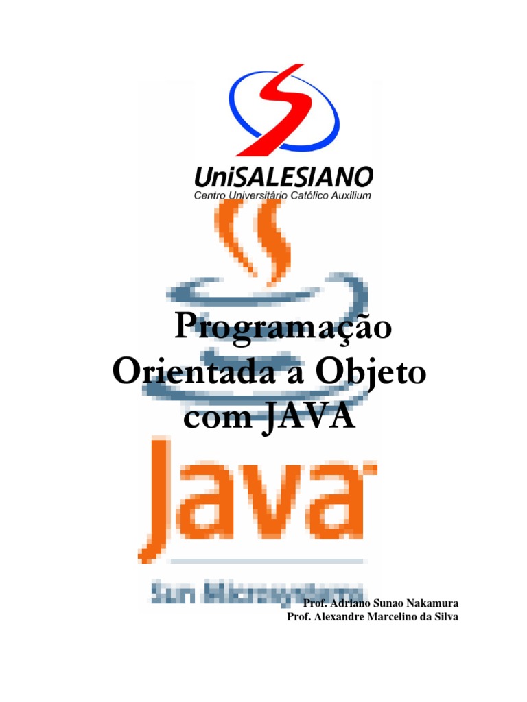 Programação Orientada A Objeto Com JAVA | PDF | Java (linguagem de ...