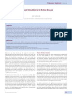 The Blood-Retinal Barrier in Retinal Disease PDF