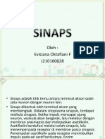 Sinaps