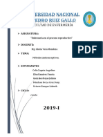 CICLOMESTRUAL