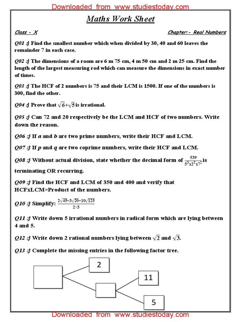 Class 10 Real Numbers Worksheet | PDF | Numbers | Discrete Mathematics