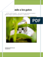 Observando a los gatos.pdf