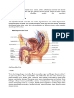 Reproduksi Pada Manusia Terjadi Secara Seksual