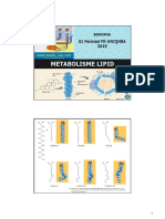 Metabolisme Lipid