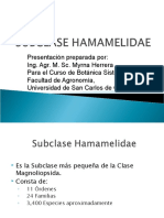 Hamamelidae 2014