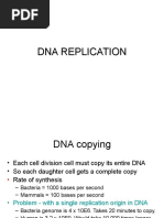 Dna Replication 1.1