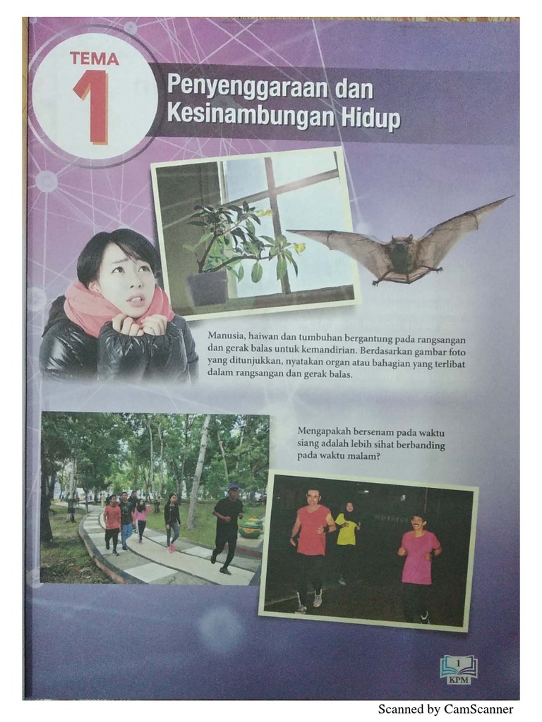 Gambar Kucing Animasi
