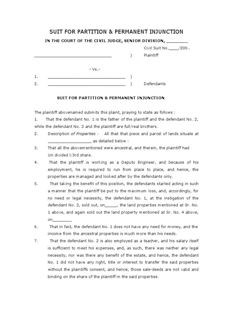 Suit For Partition & Permanent Injunction PDF Lawsuit Property