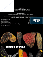 Insect Wing Venation, Structure and Flight Mechanism