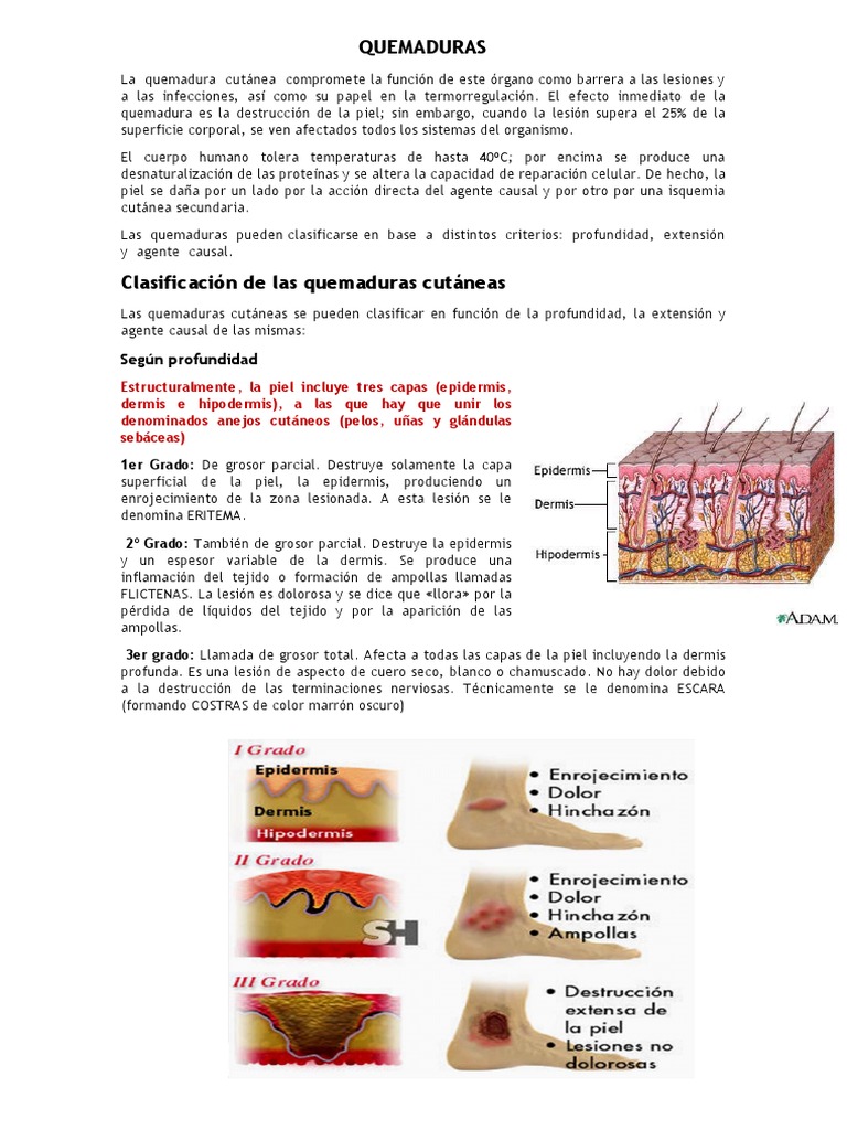 Clasificación y Primeros Auxilios en Quemaduras | PDF | Quemar | Piel