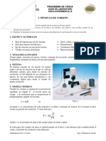 F2_03_PENDULO DE TORSION.pdf