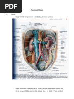 Download Anatomi Ginjal by Annisa Febriyani SN41427673 doc pdf