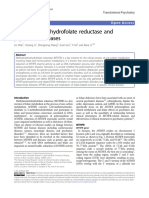 Methylenetetrahydrofolate Reductase and Psychiatric Diseases