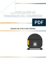 Terminales Del Compreso