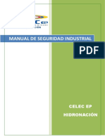 Manual de Seguridad