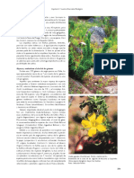 Biodiversidad de Chile parte 2.pdf