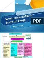 matriz de perfil de cargo.pdf
