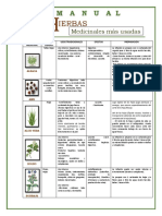 Mini Manual HM