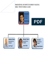 Organigrama Subcomité Seguridad y Salud