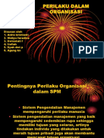 Perilaku Organisasi