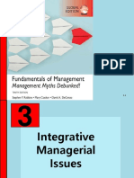 Integrative Management Issues