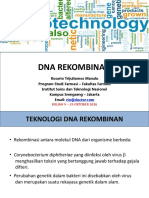 V - Dna Rekombinan