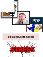 STRESS ADAPTASI.pdf