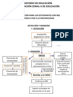 Ruta de Acción Nee 2017