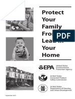 Lead Paint in Your Home Brochure