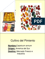 ecofisiologia pimiento.pdf