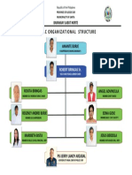 BADAC TEMPLATE - Council Organizational Structure