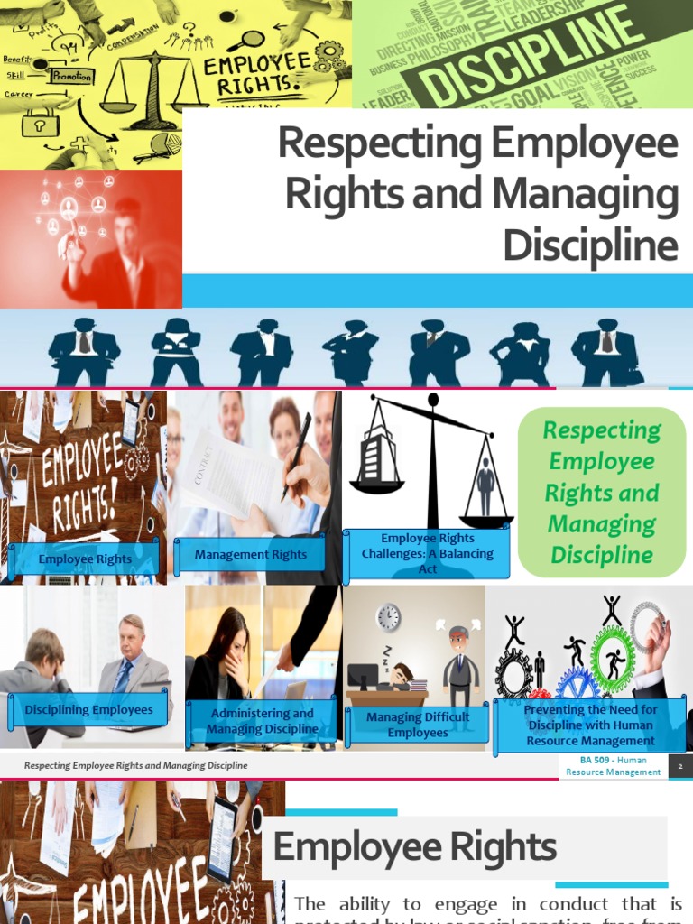 Employee Rights and Discipline Management | PDF | Employment | Rights